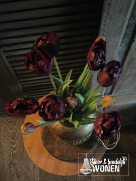 Dubbele tulpen | Deep Purple | 44 cm