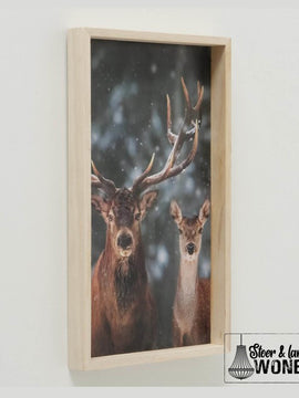 Hert in houten lijst | 24 x 40 cm