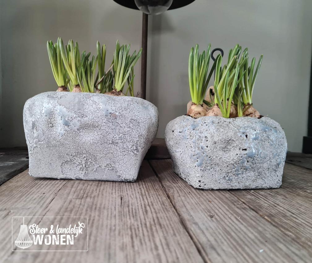 PTMD | Bloempot | Kamilla Green | Cement | 50cm PTMD | Bloempot | Kamilla Green | Cement | 50cm