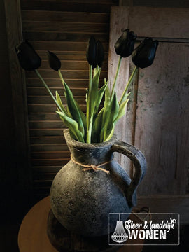 Tulpen | Black Beauty | 44 cm