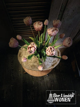 Dubbele tulpen | Beauty Pink | 44 cm