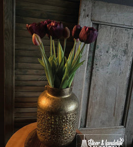 Dubbele tulpen | Deep Purple | 44 cm
