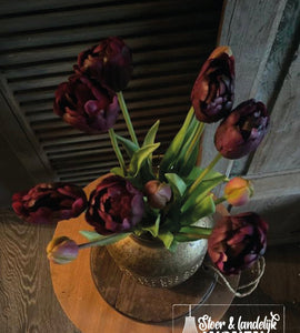 Dubbele tulpen | Deep Purple | 44 cm