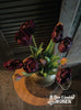 Dubbele tulpen | Deep Purple | 44 cm - Stoer en Landelijk Wonen Winkel
