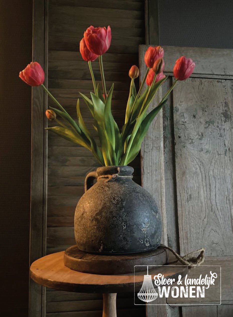 Dubbelbloemige Late Tulpen | Historische bloembollen