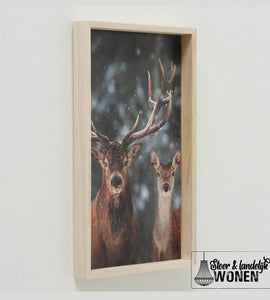 Hert in houten lijst | 24 x 40 cm