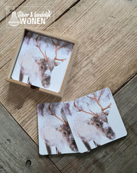 Onderzetters rendier in houder | 10 x 10 cm