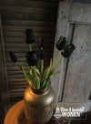 Tulpen | Black Beauty | 44 cm - Stoer en Landelijk Wonen Winkel