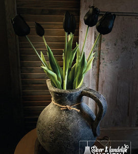 Tulpen | Black Beauty | 44 cm