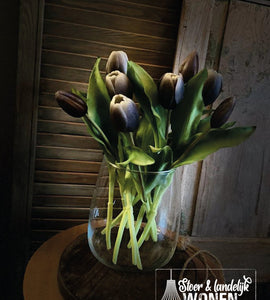 Tulpen mini | Black Purple | 30 cm