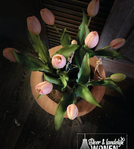 Tulpen mini | Soft pink | 30 cm