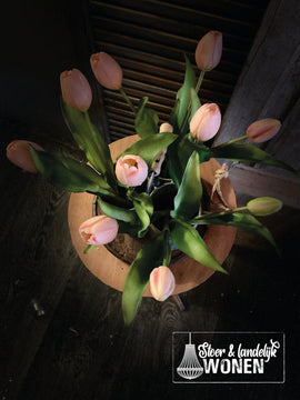Tulpen mini | Soft pink | 30 cm