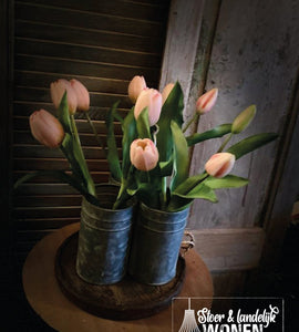 Tulpen mini | Soft pink | 30 cm