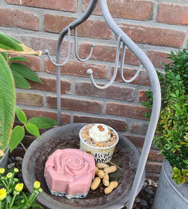 Vogeltaartje 